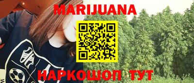 мяу мяу мука Аргун